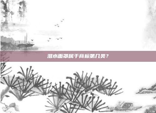 潜水面罩属于商标第几类?