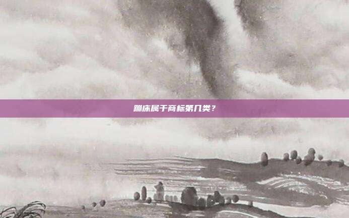 蹦床属于商标第几类？
