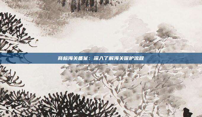 商标海关备案:深入了解海关保护流程