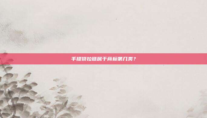 手提袋拉链属于商标第几类?