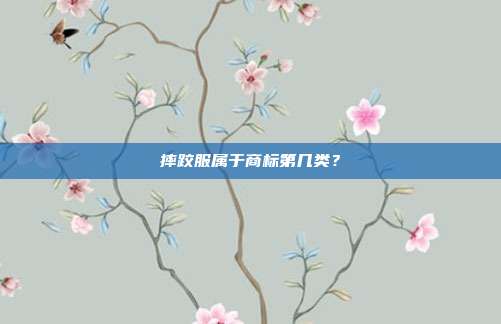 摔跤服属于商标第几类？