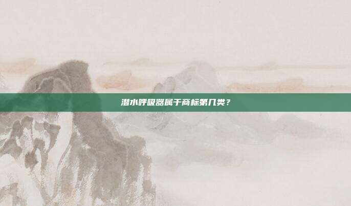 潜水呼吸器属于商标第几类？