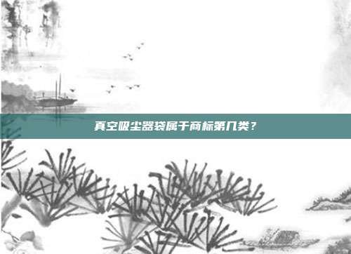 真空吸尘器袋属于商标第几类？