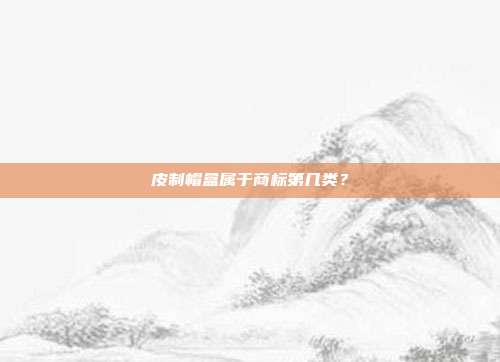 皮制帽盒属于商标第几类？