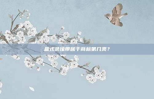 盒式录像带属于商标第几类?