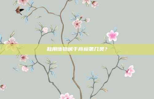鞋用饰物属于商标第几类?