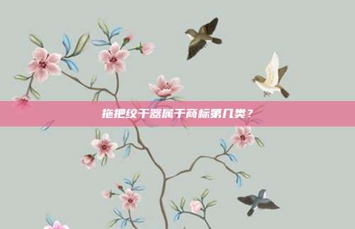 拖把绞干器属于商标第几类？