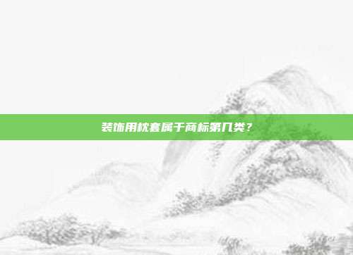 装饰用枕套属于商标第几类？