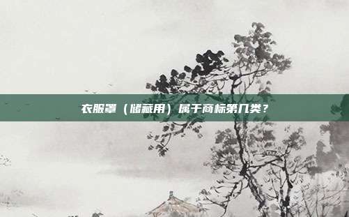 衣服罩（储藏用）属于商标第几类？