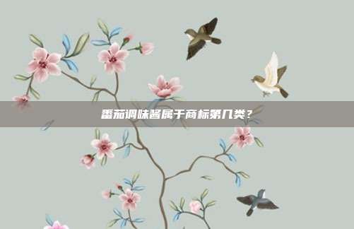 番茄调味酱属于商标第几类？