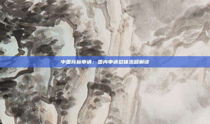 中国商标申请:国内申请总体流程解读