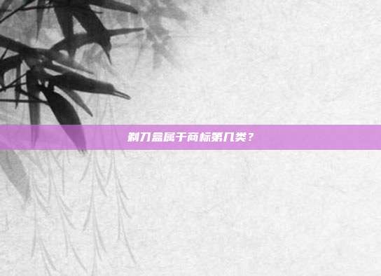 剃刀盒属于商标第几类?
