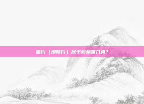 垫片(填隙片)属于商标第几类?