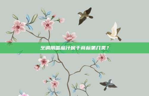 烹调用番茄汁属于商标第几类?