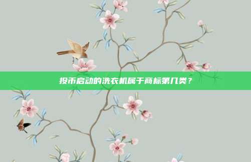 投币启动的洗衣机属于商标第几类？