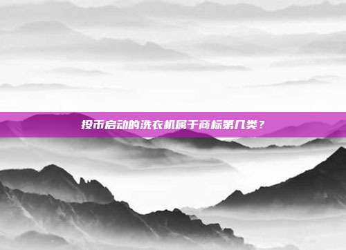 投币启动的洗衣机属于商标第几类?