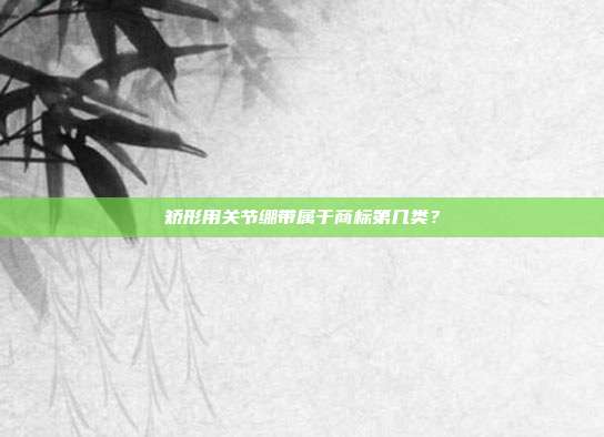 矫形用关节绷带属于商标第几类?
