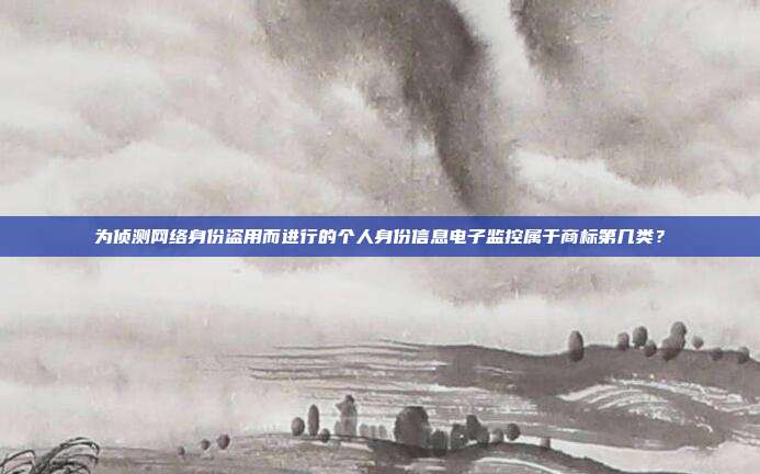 为侦测网络身份盗用而进行的个人身份信息电子监控属于商标第几类?