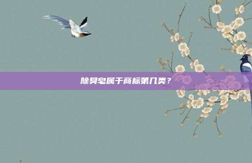 除臭皂属于商标第几类?