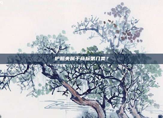 护照夹属于商标第几类？