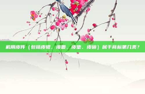 机用皮件(包括皮辊、皮圈、皮垫、皮碗)属于商标第几类?