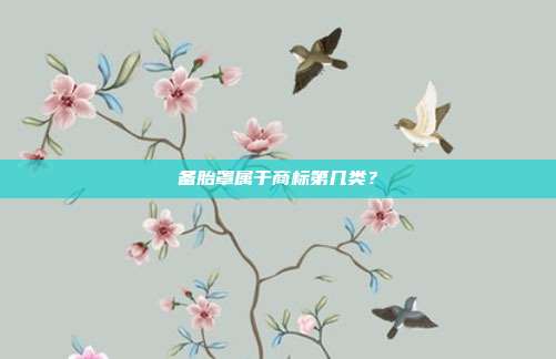 备胎罩属于商标第几类?