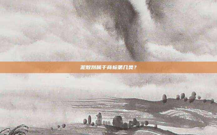 泥敷剂属于商标第几类？