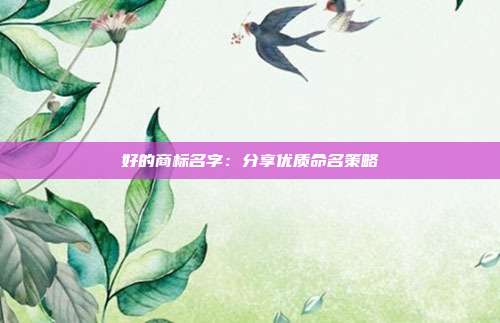 好的商标名字:分享优质命名策略