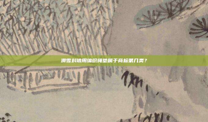 滑雪斜坡用编织绳垫属于商标第几类?