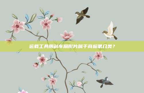 运载工具用刹车扇形片属于商标第几类？