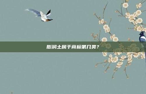 膨润土属于商标第几类?