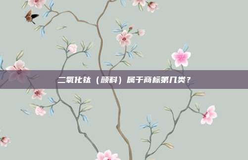 二氧化钛（颜料）属于商标第几类？