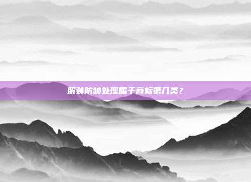 服装防皱处理属于商标第几类？