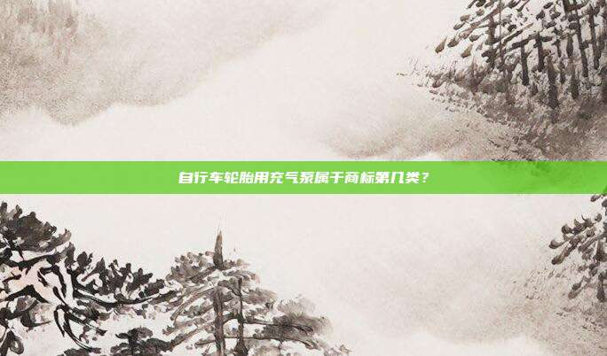 自行车轮胎用充气泵属于商标第几类？