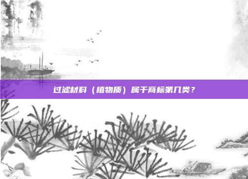 过滤材料（植物质）属于商标第几类？