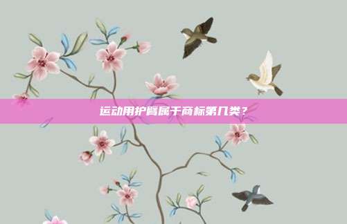 运动用护臂属于商标第几类？