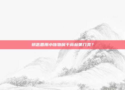 钥匙圈用小饰物属于商标第几类？