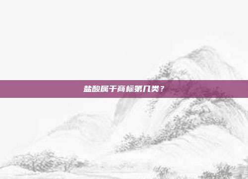 盐酸属于商标第几类?
