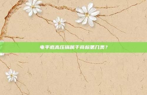 电平底高压锅属于商标第几类?