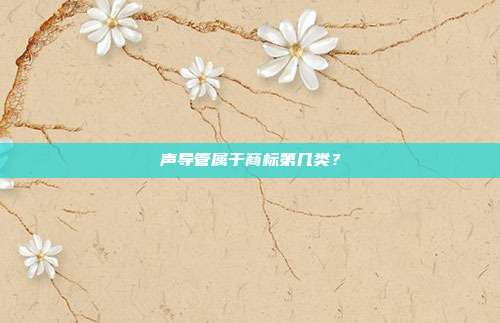 声导管属于商标第几类?