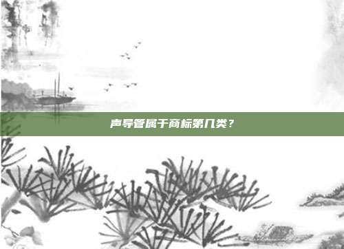 声导管属于商标第几类?