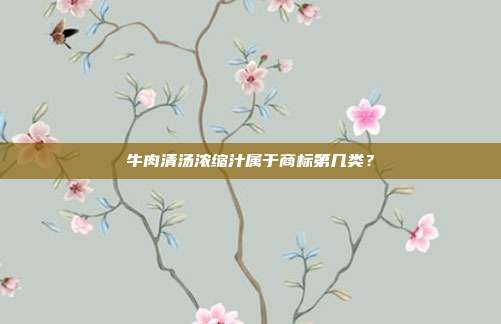 牛肉清汤浓缩汁属于商标第几类?