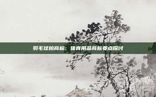 羽毛球拍商标：体育用品商标要点探讨