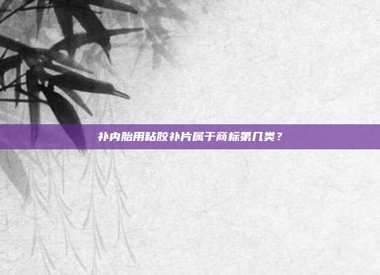 补内胎用粘胶补片属于商标第几类?