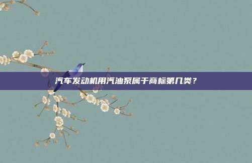 汽车发动机用汽油泵属于商标第几类?