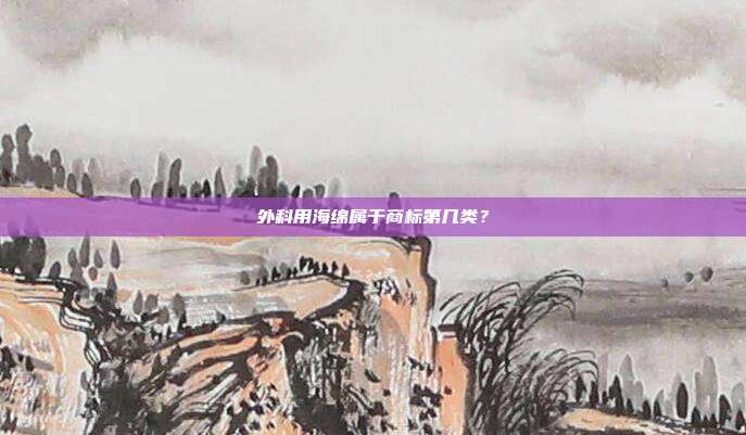 外科用海绵属于商标第几类?