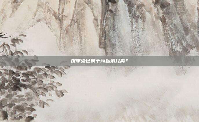 皮革染色属于商标第几类?