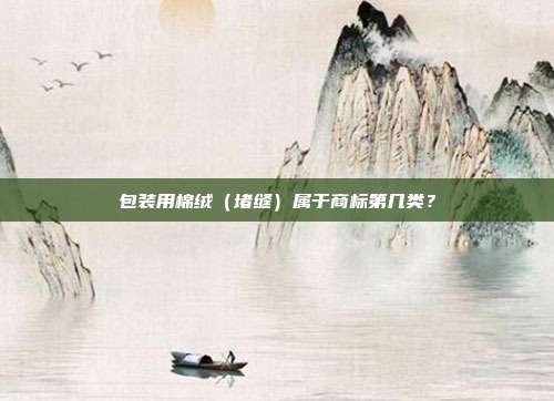 包装用棉绒(堵缝)属于商标第几类?