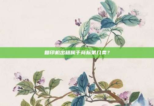 复印机出租属于商标第几类?
