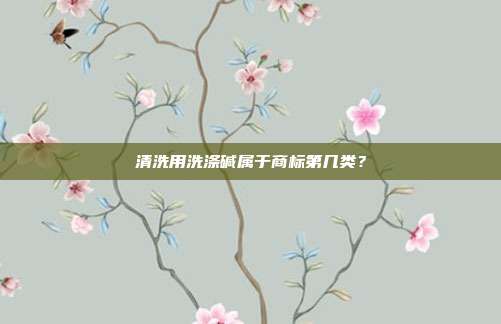 清洗用洗涤碱属于商标第几类？
